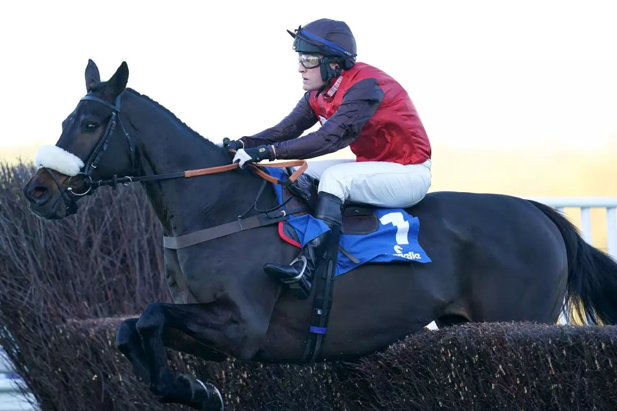Saint Calvados ridden by David Maxwell
