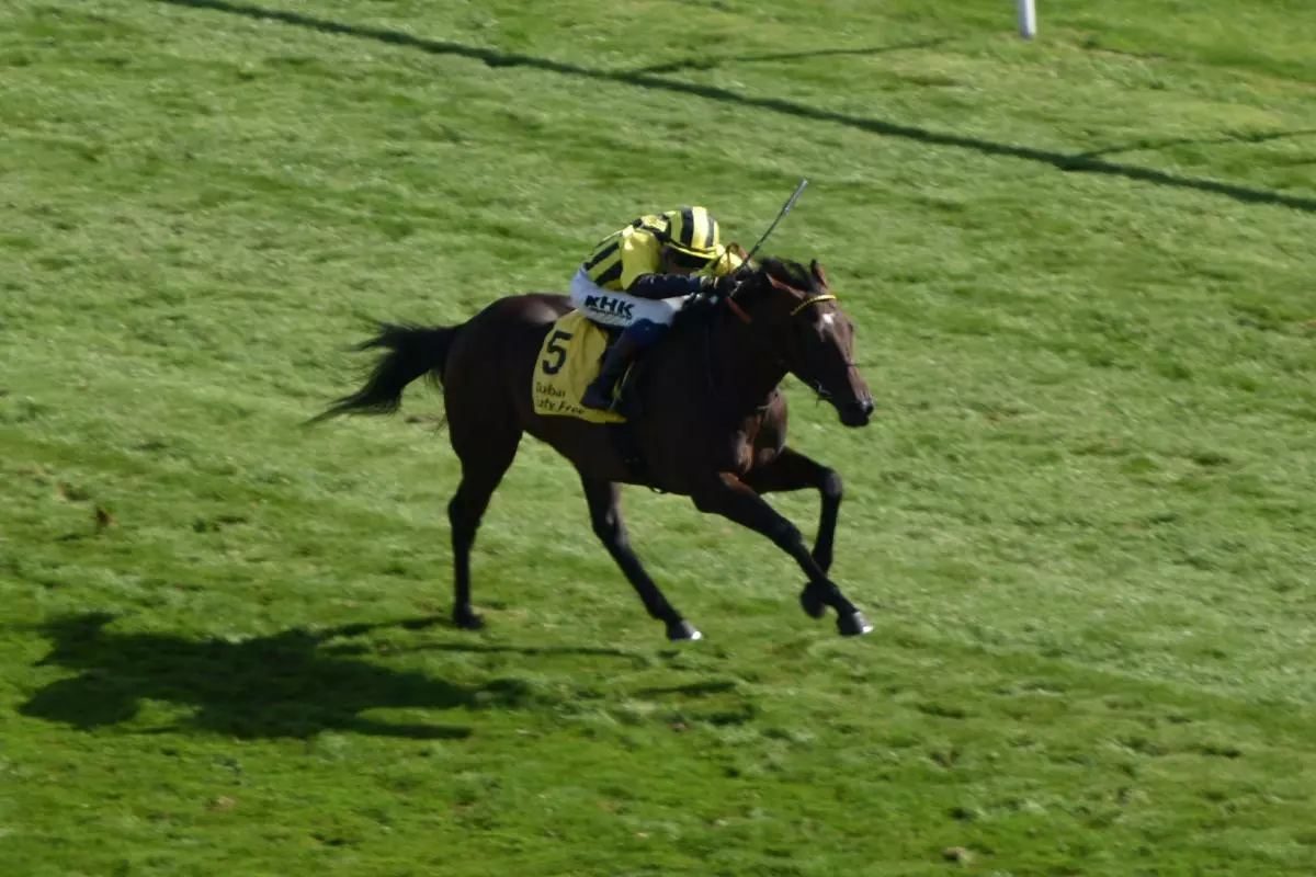 Sakheer ridden by David Egan