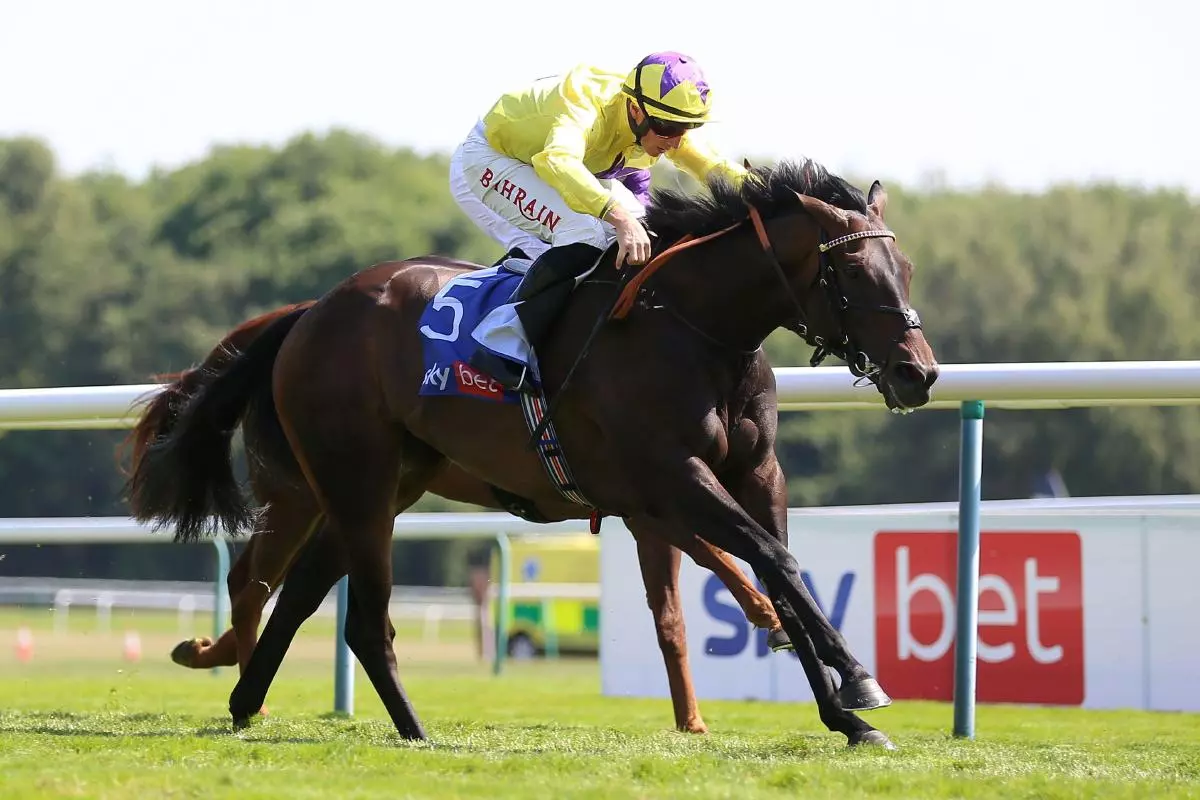 Sea Silk Road ridden by jockey Tom Marquand