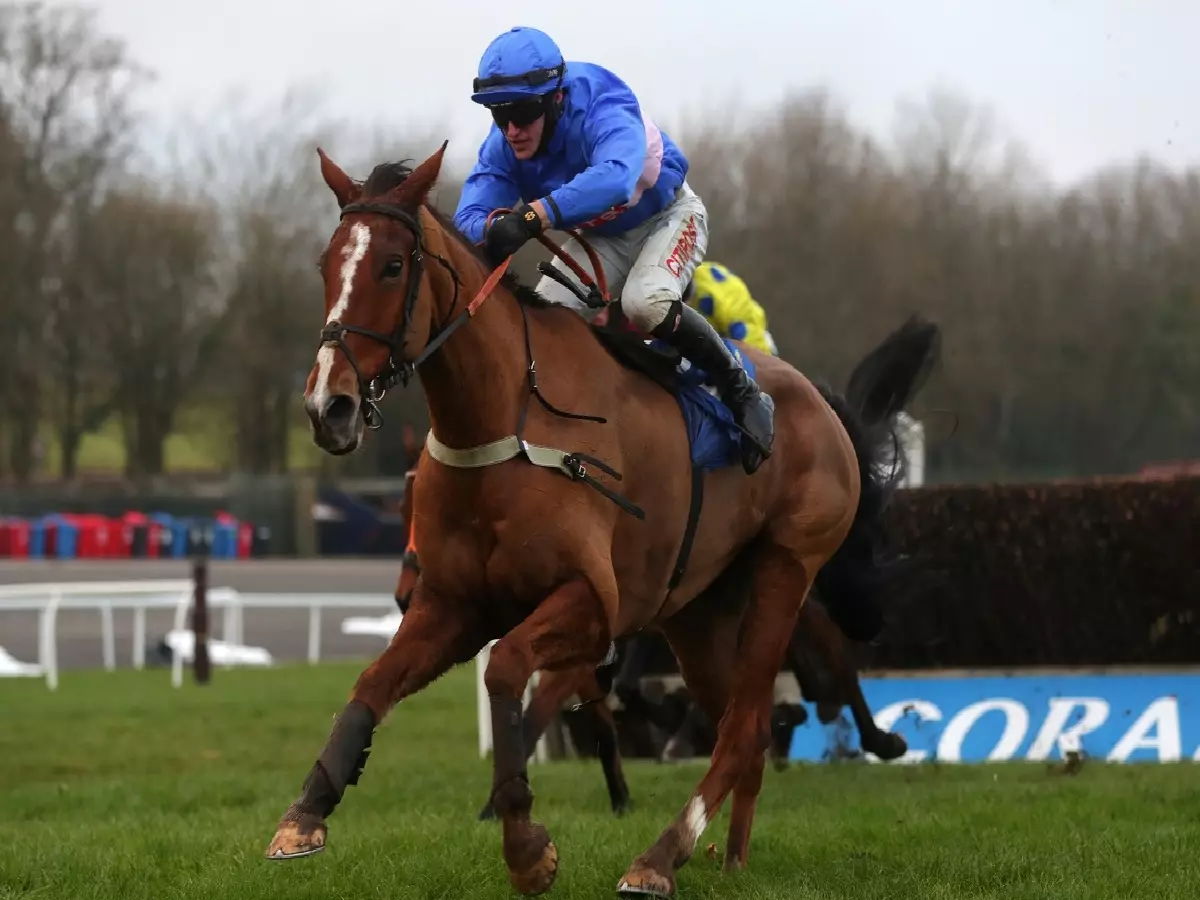 Secret Reprieve and Adam Wedge