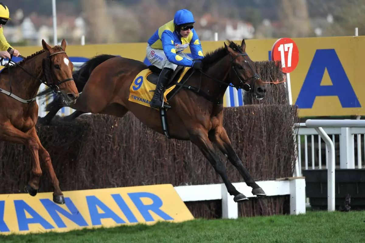 Shan Blue ridden by Harry Skelton