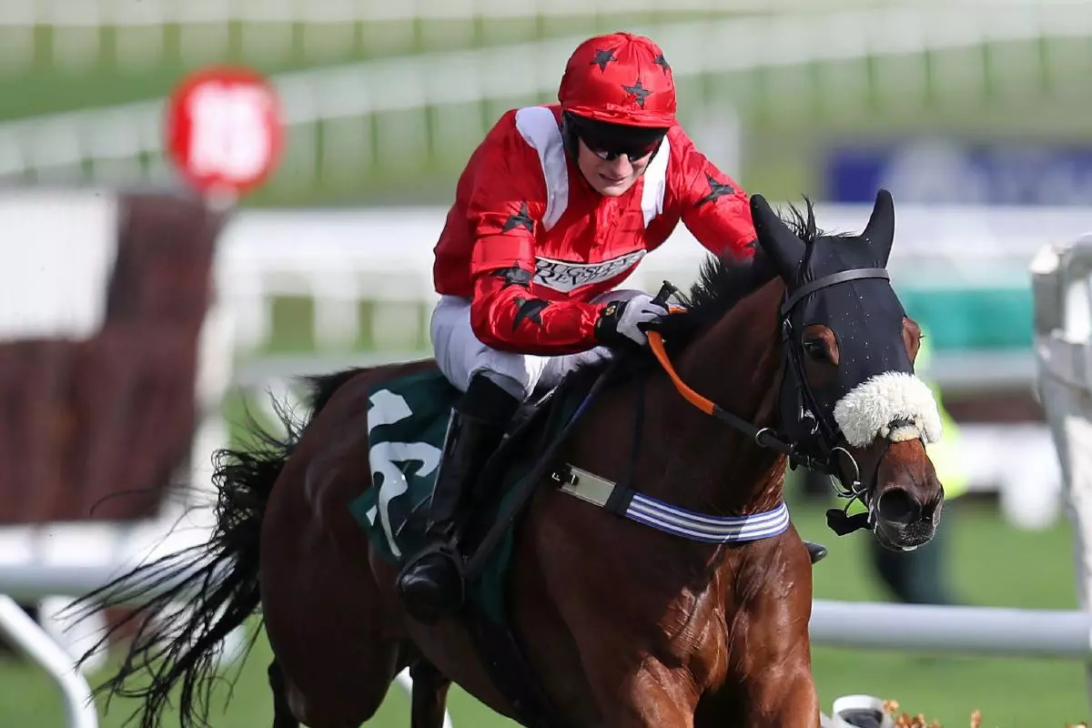 Soul Icon ridden by Harry Kimber