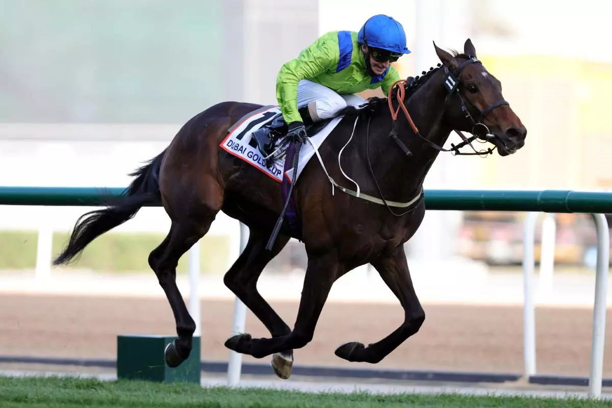 Subjectivist ridden by Joe Fanning