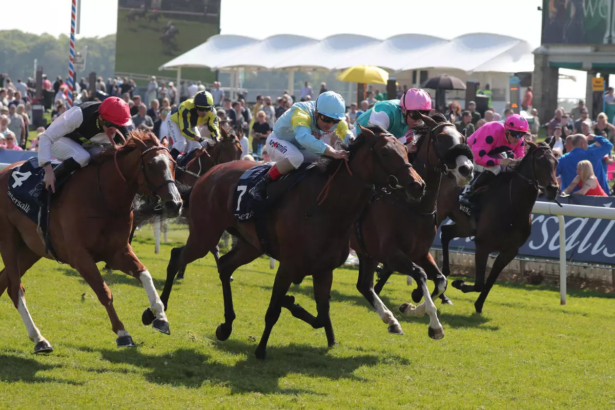 York racecourse