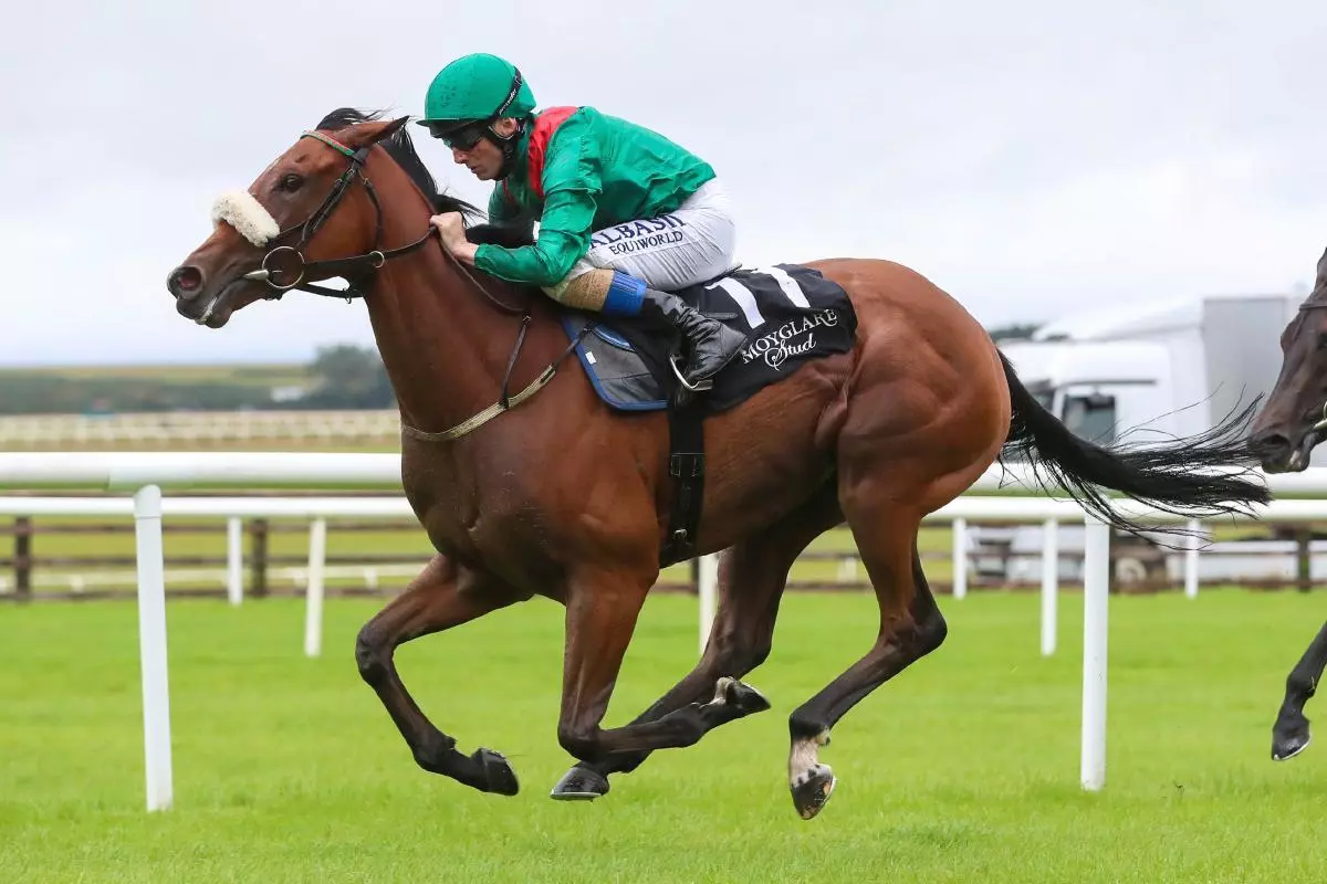 Tahiyra ridden by Chris Hayes