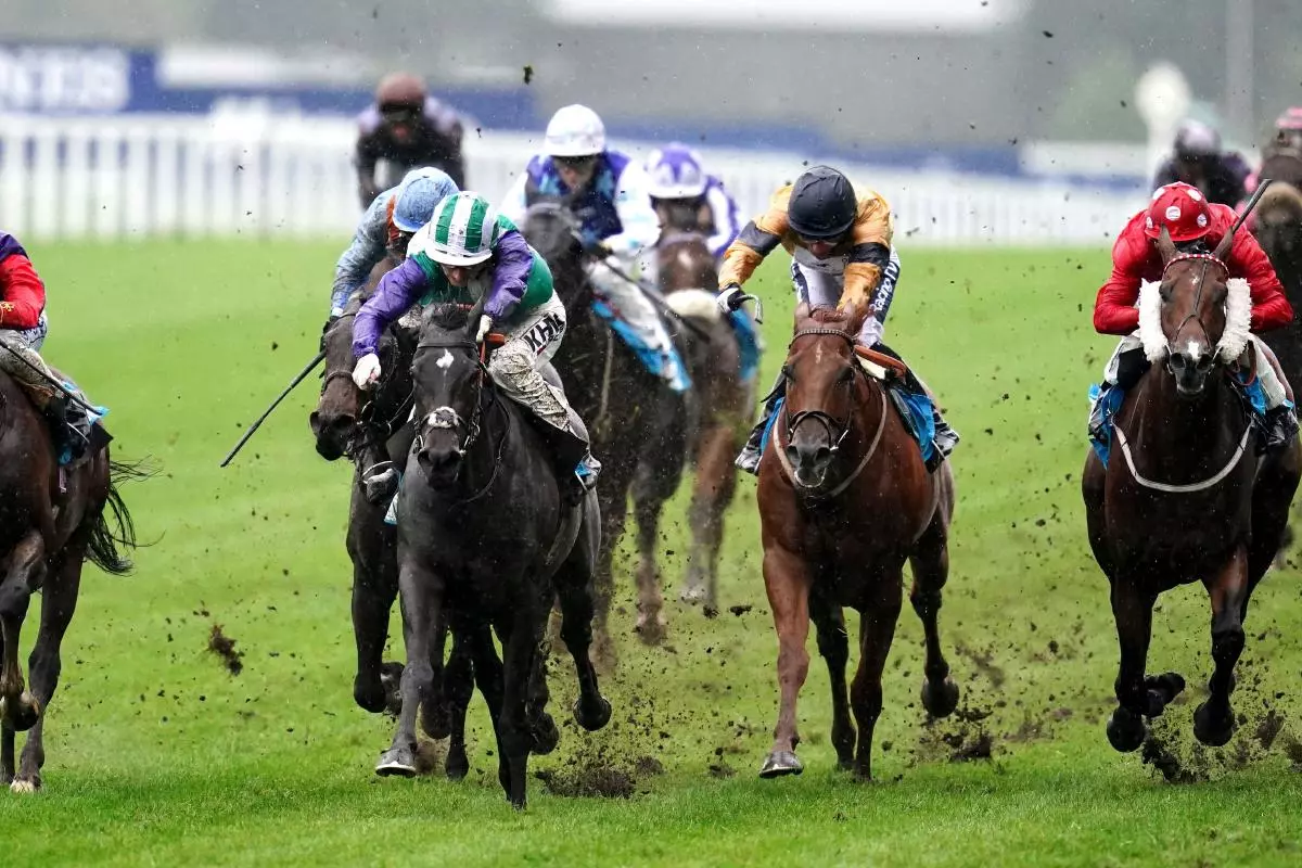 Vadream ridden by David Egan