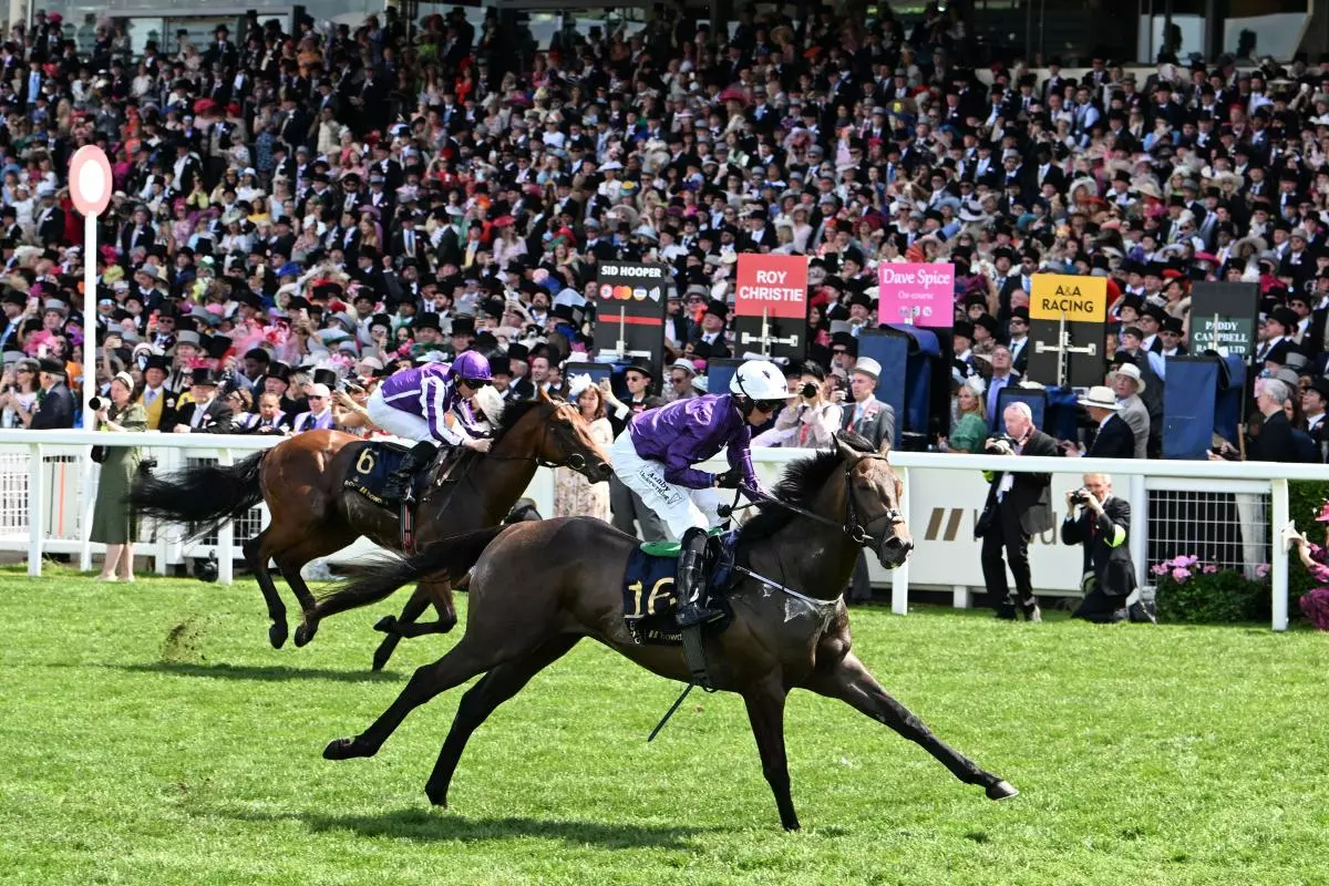 Valiant Force at Royal Ascot, June 2023