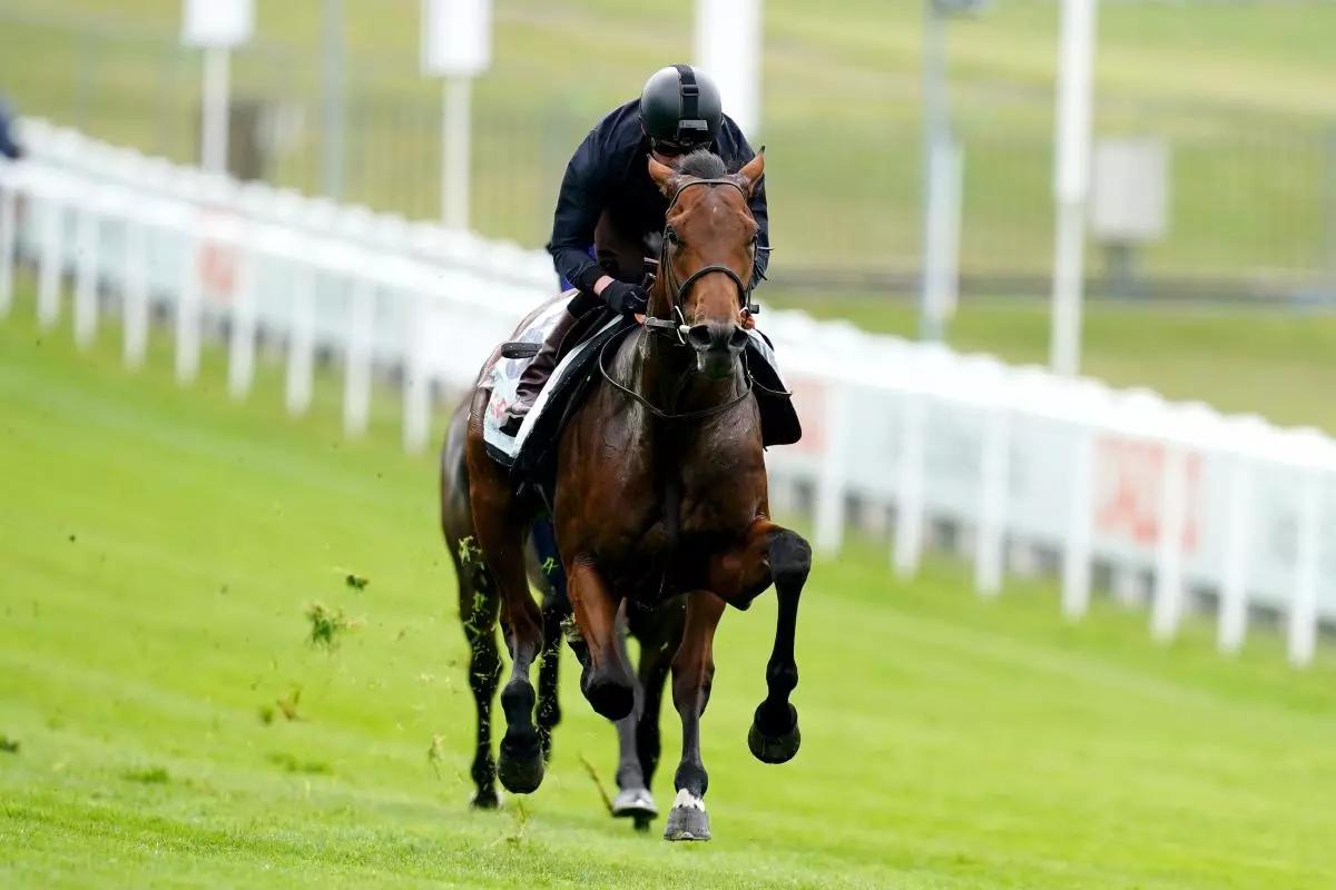 Westover ridden by Rob Hornby 