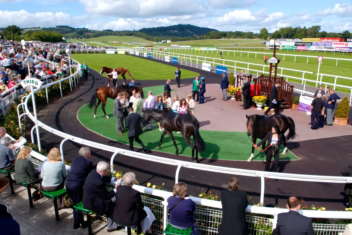 Winners enclosure at Chepstow Racecourse