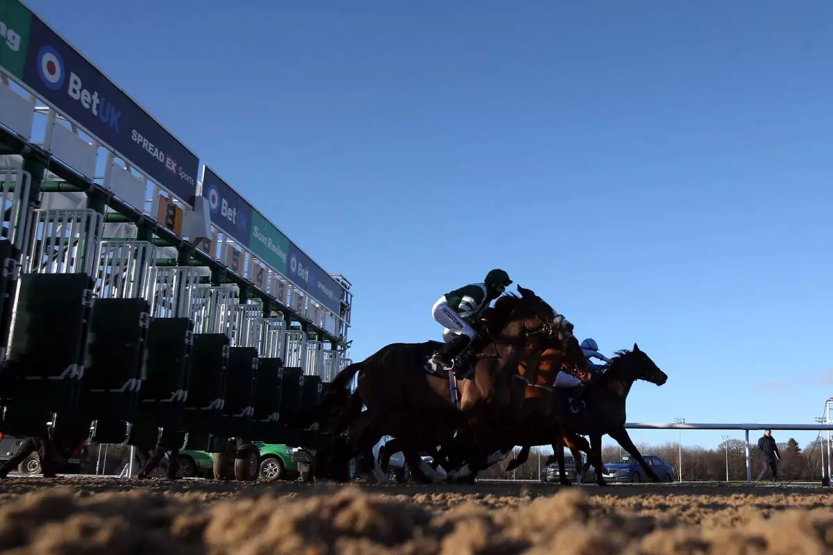 Wolverhampton racecourse