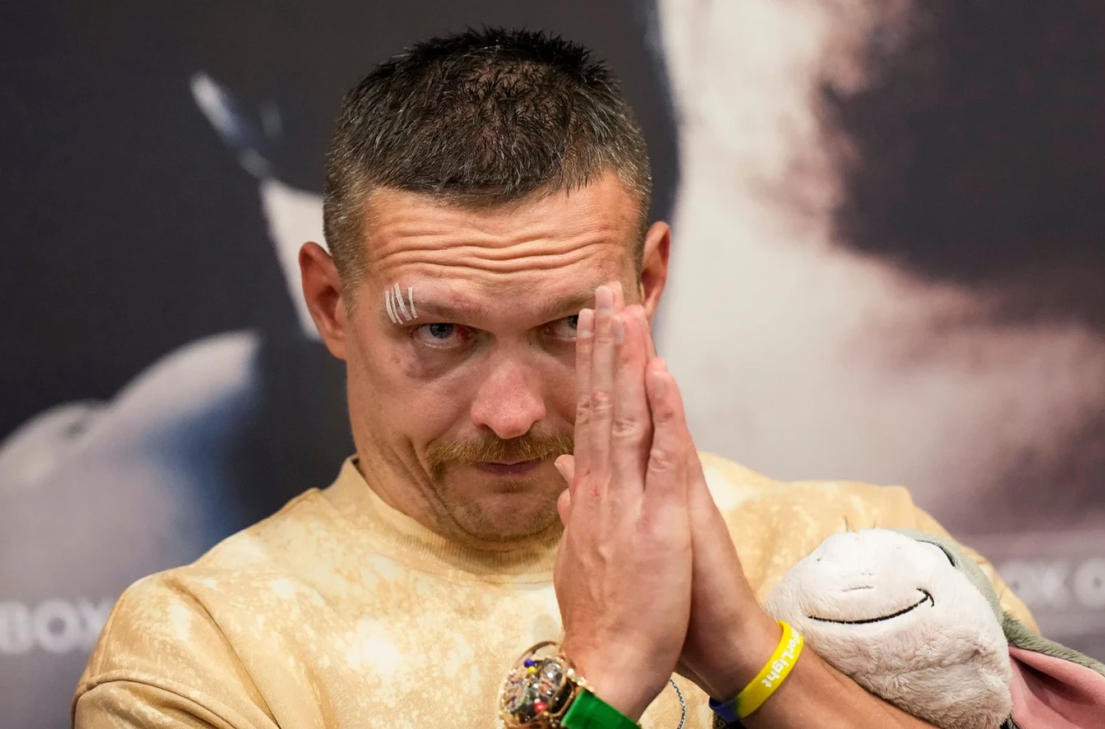 Ukraine's Oleksandr Usyk