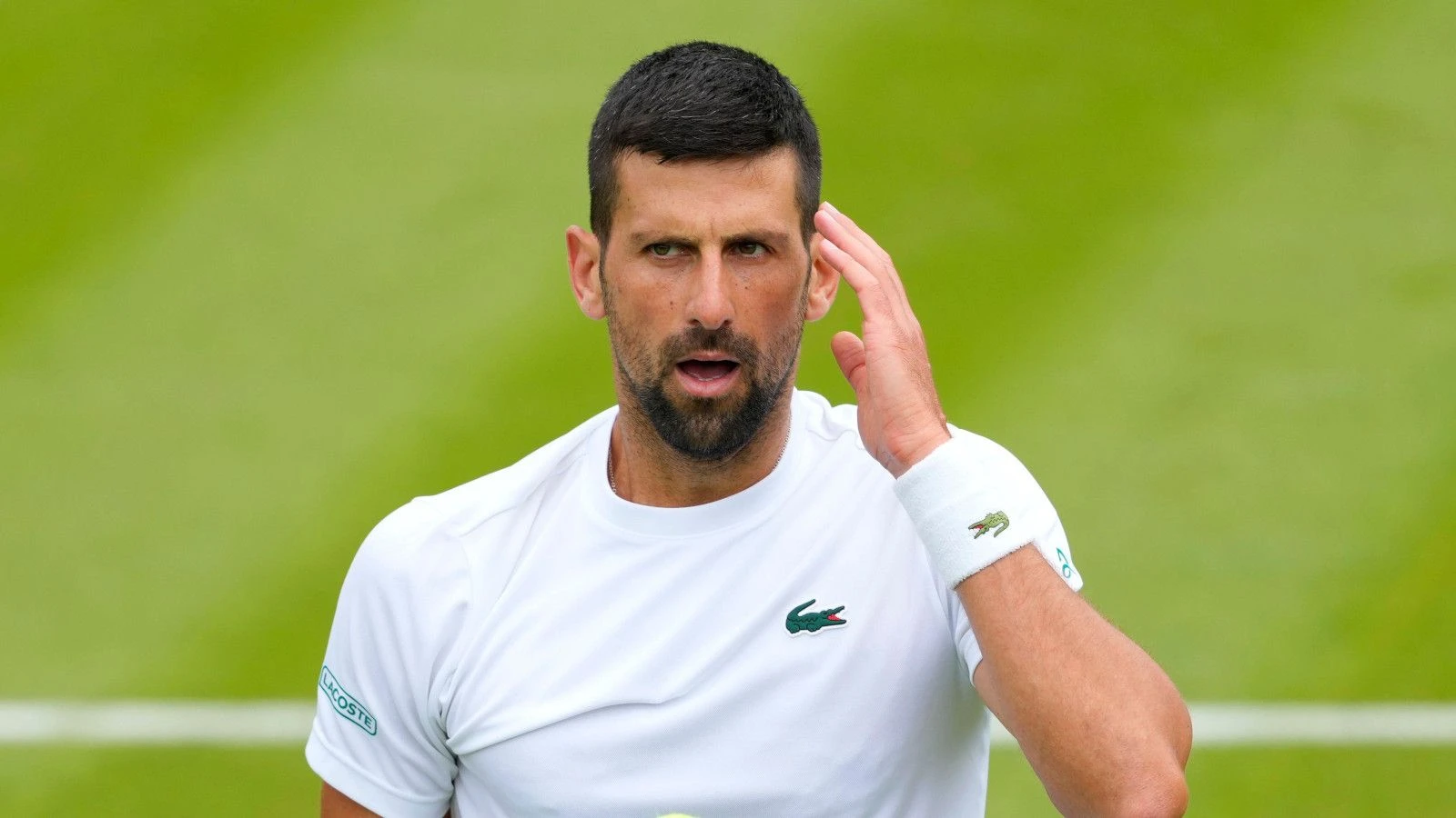 Novak Djokovic