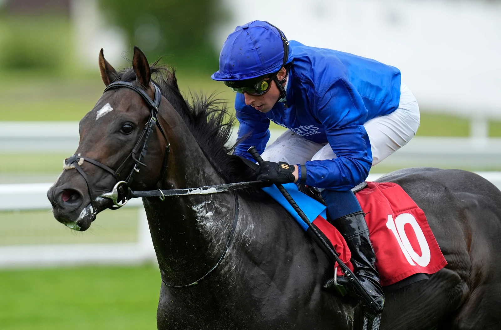 Ruling Court ridden by William Buick
