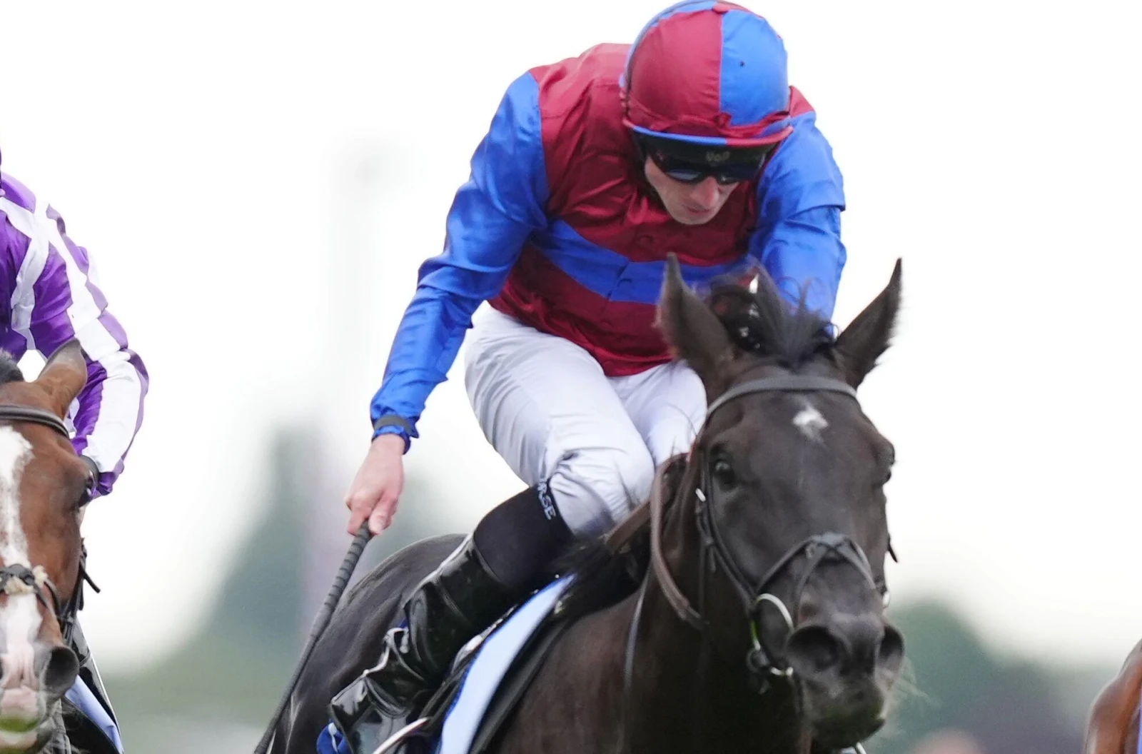 Los Angeles ridden by Ryan Moore at York