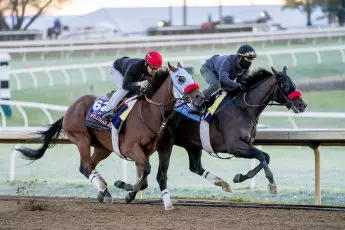 Hot Rod Charlie, trained by trainer Doug F. O'Neill, and Wildman Jack, trained by trainer Doug F. O'Neill, exercise in preparation for the Breeders' Cup