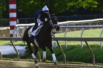 Rombauer in training