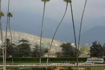 Santa Anita Park