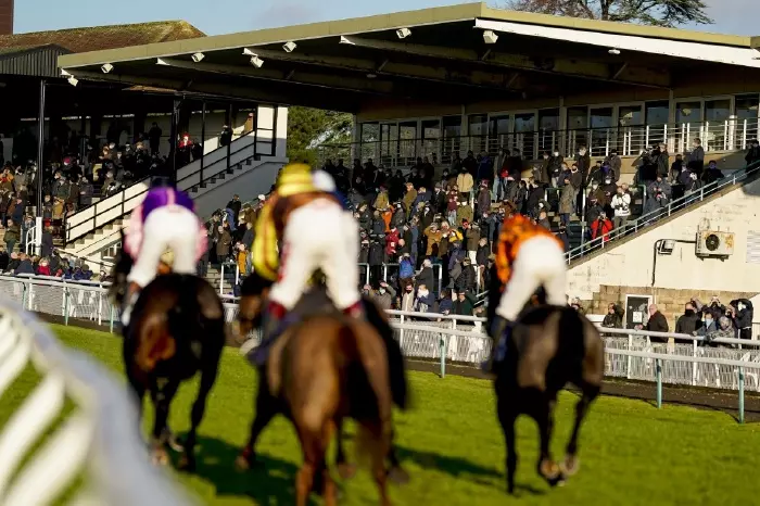 A view of Fontwell racecourse