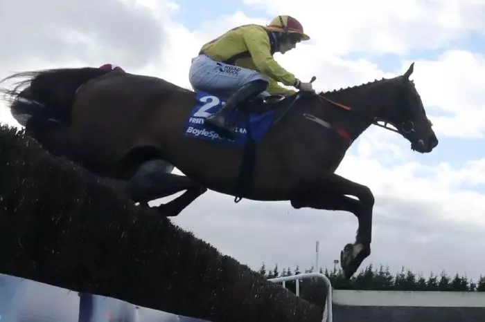 Freewheelin Dylan wins the 2021 Irish Grand National
