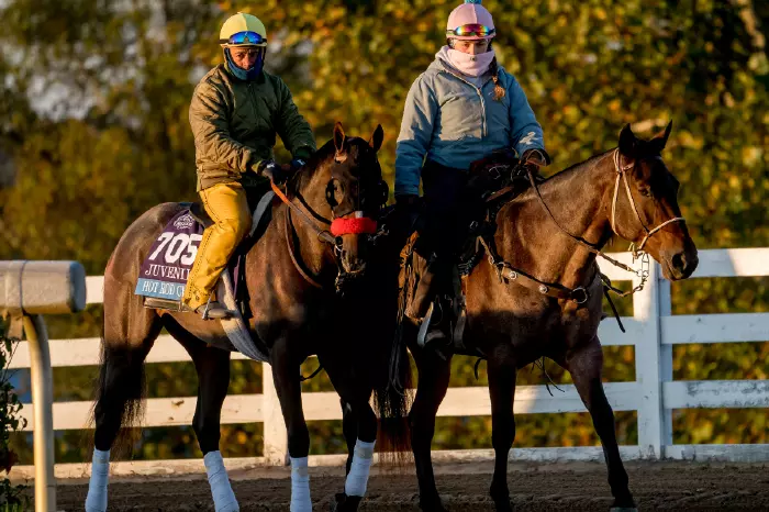 Hot Rod Charlie in training in preparation for the Breeders' Cup Juvenile at Keeneland Racetrack in Lexington, Kentucky on 2nd November 2020