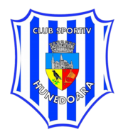 FC Hunedoara