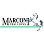 marconi-stallions-fc