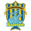 team-logo