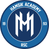 Hamsik Academy