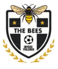 The Bees FC