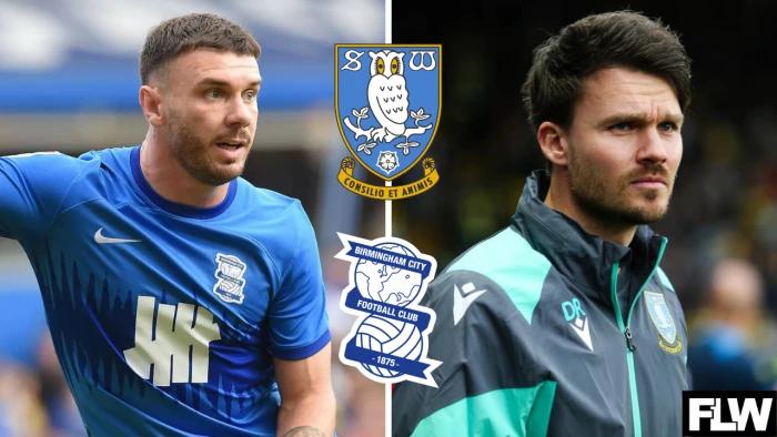 Potential Birmingham City punt from Sheffield Wednesday is a gamble: View