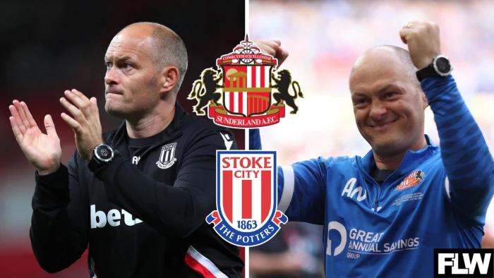 Everyone at Sunderland should be saying the same thing about Alex Neil getting sacked at Stoke City: View