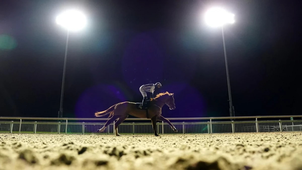 Wolverhampton racecourse