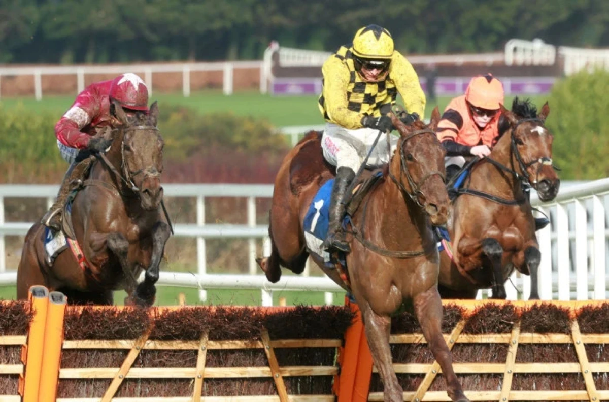 Dancing City ridden by Danny Mullins at Leopardstown