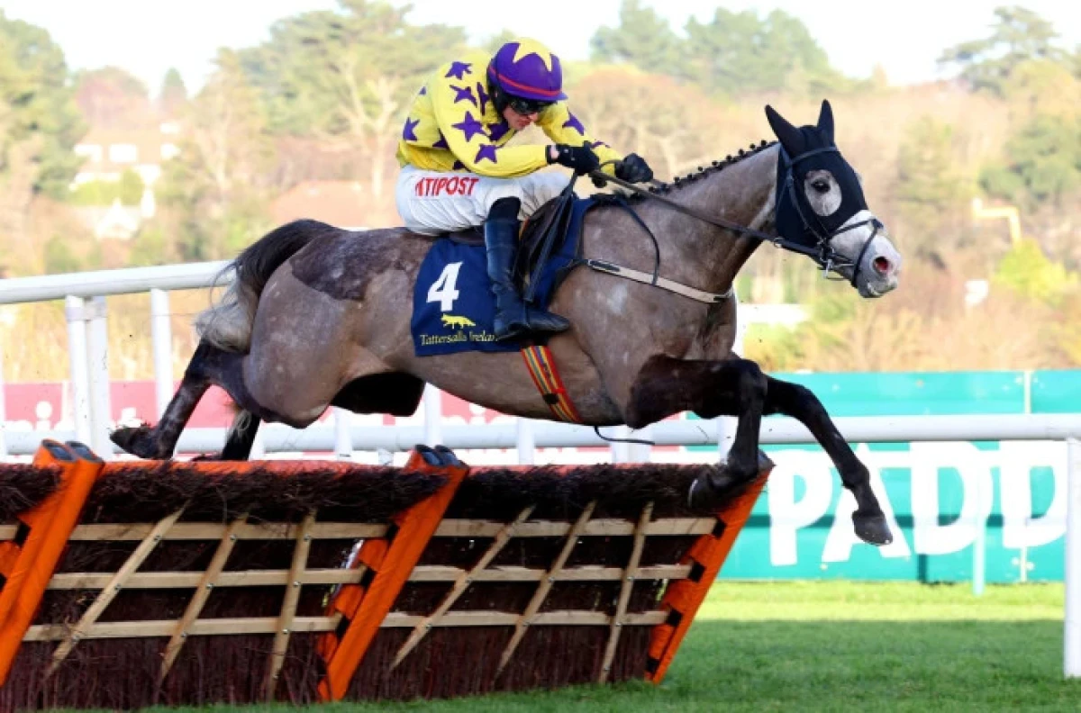 Il Etait Temps ridden by Danny Mullins at Leopardstown