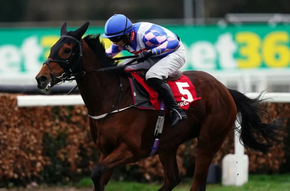 Nickle Back ridden by jockey James Best at Leopardstown