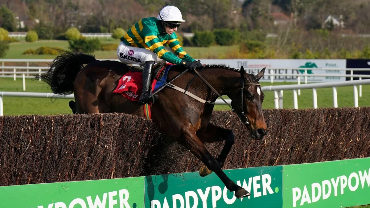 Fact to File ridden by Mark Walsh jumps the last to win The Ladbrokes Novice Steeplechase