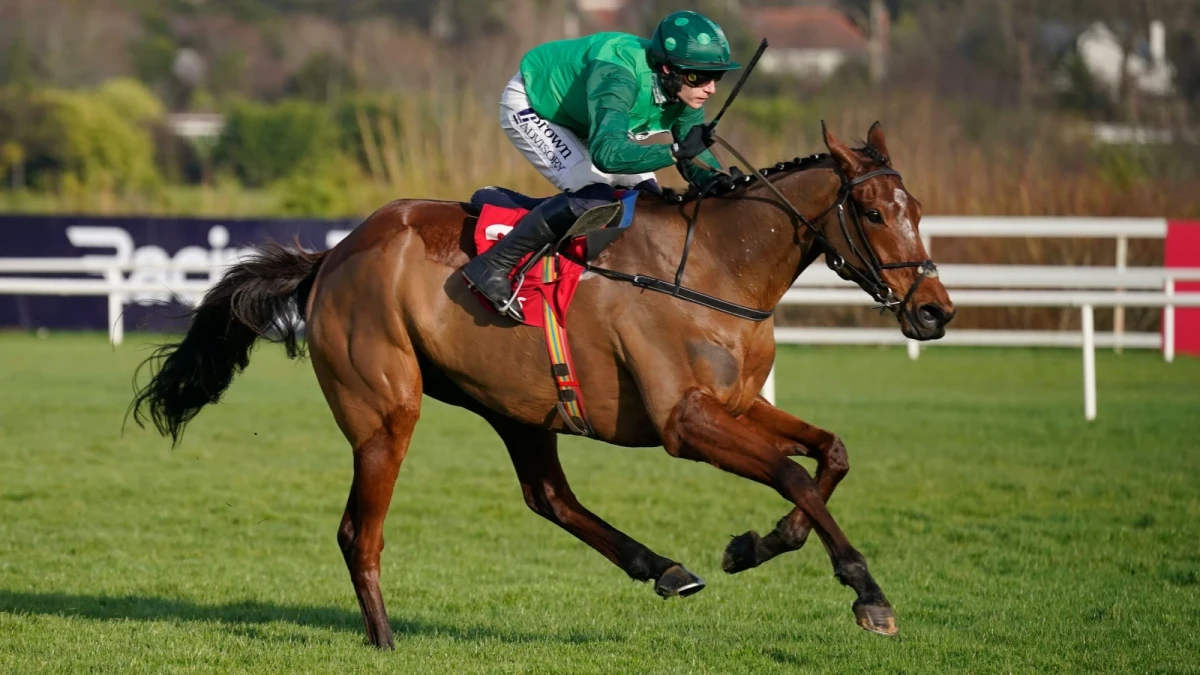 El Fabiolo ridden by jockey Paul Townend goes on to win The Ladbrokes Dublin Steeplechase at Leopardstown
