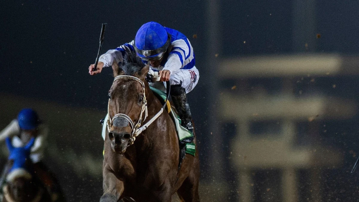 Senor Buscador with jockey Junior Alvarado