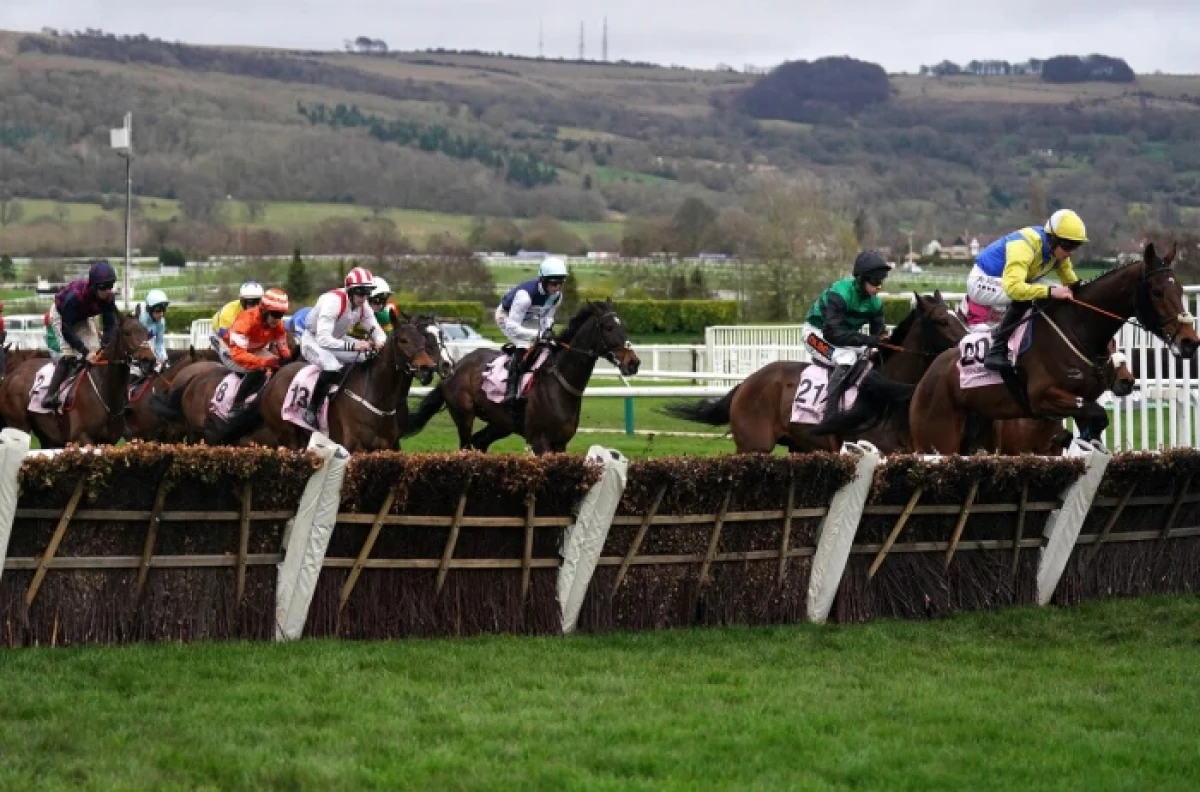 Runners and riders in the Boodles Juvenile Handicap Hurdle at 2024 Cheltenham Festival