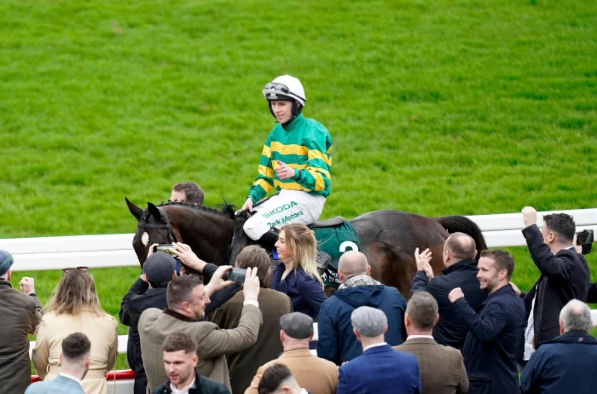 Jockey Mark Walsh with Fact To File at Cheltenham