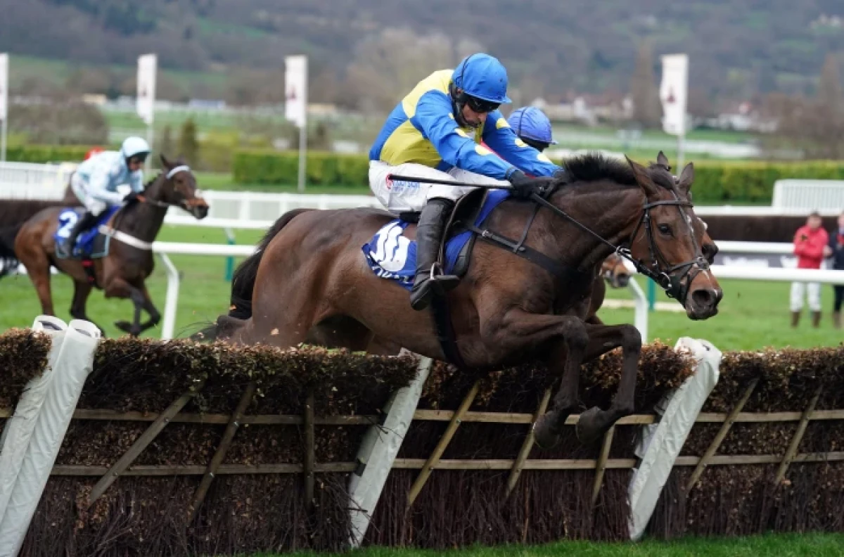 Langer Dan on the way to claiming his second Coral Cup at Cheltenham