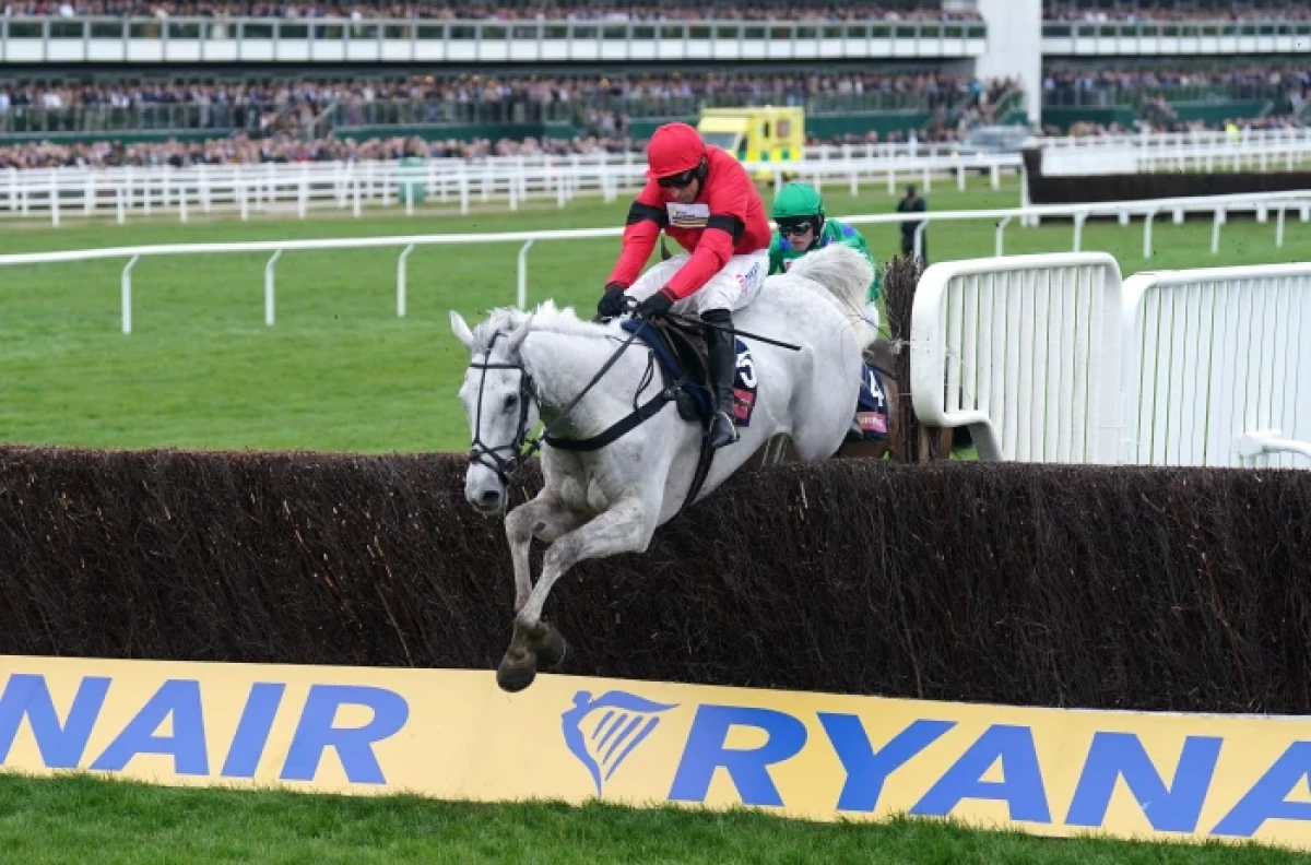 Grey Dawning and Harry Skelton on the way to victory at Cheltenham Festival