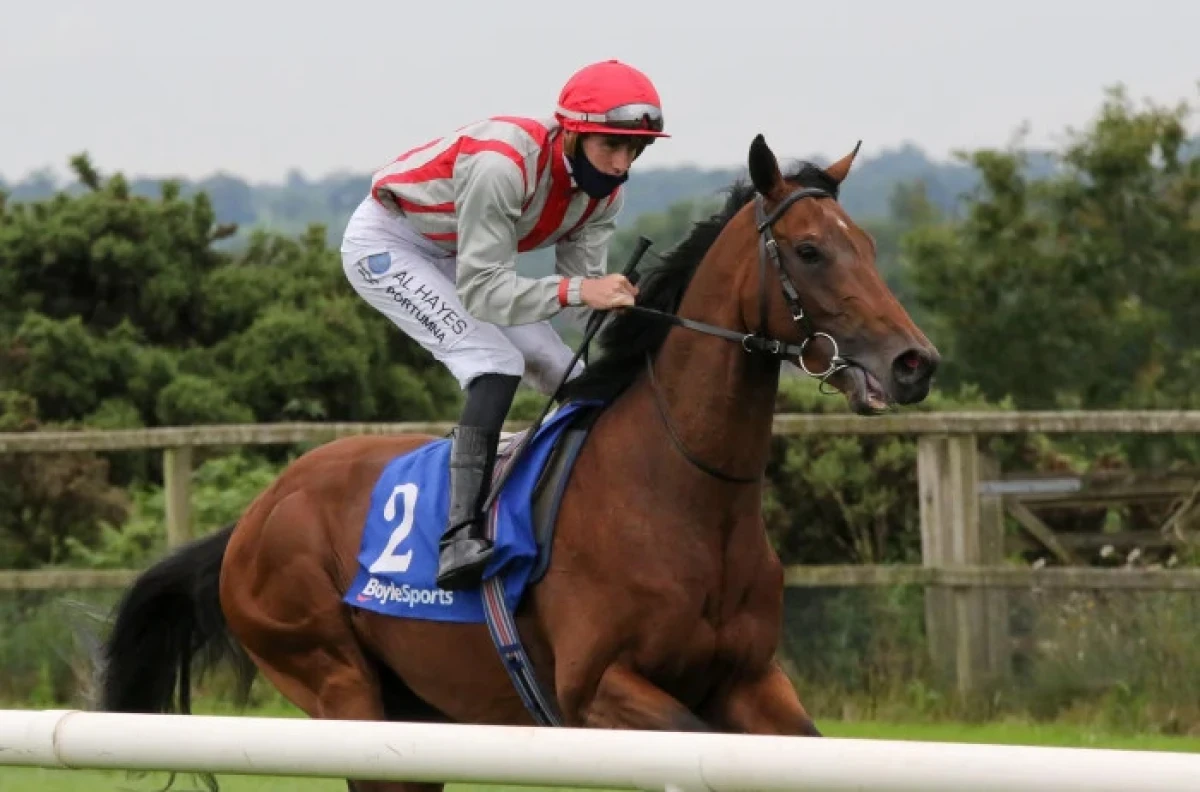 Sunchart at Down Royal