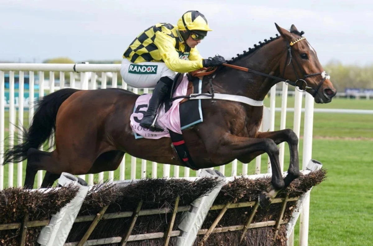 Sir Gino ridden by Nico de Boinville on their way to winning the Boodles Anniversary 4-Y-O Juvenile Hurdle
