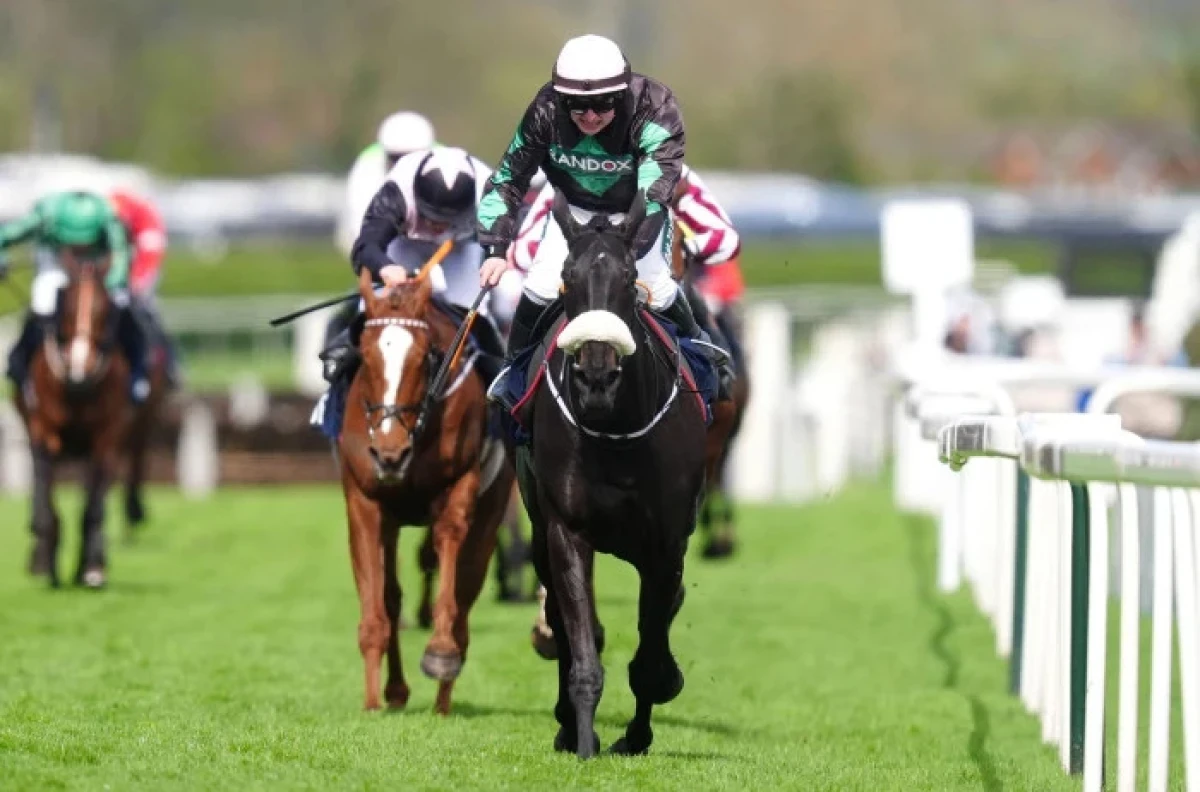 Strong Leader ridden by Sean Bowen