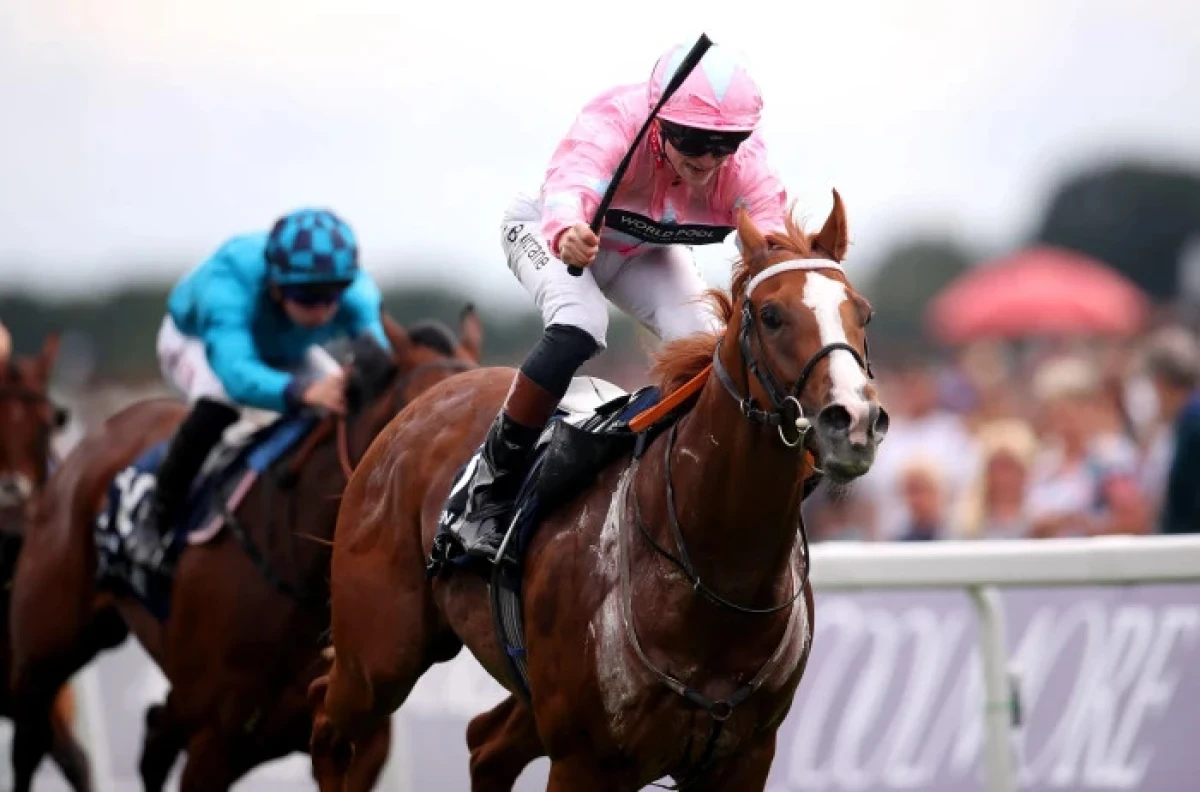 Live In The Dream ridden by jockey Sean Kirrane