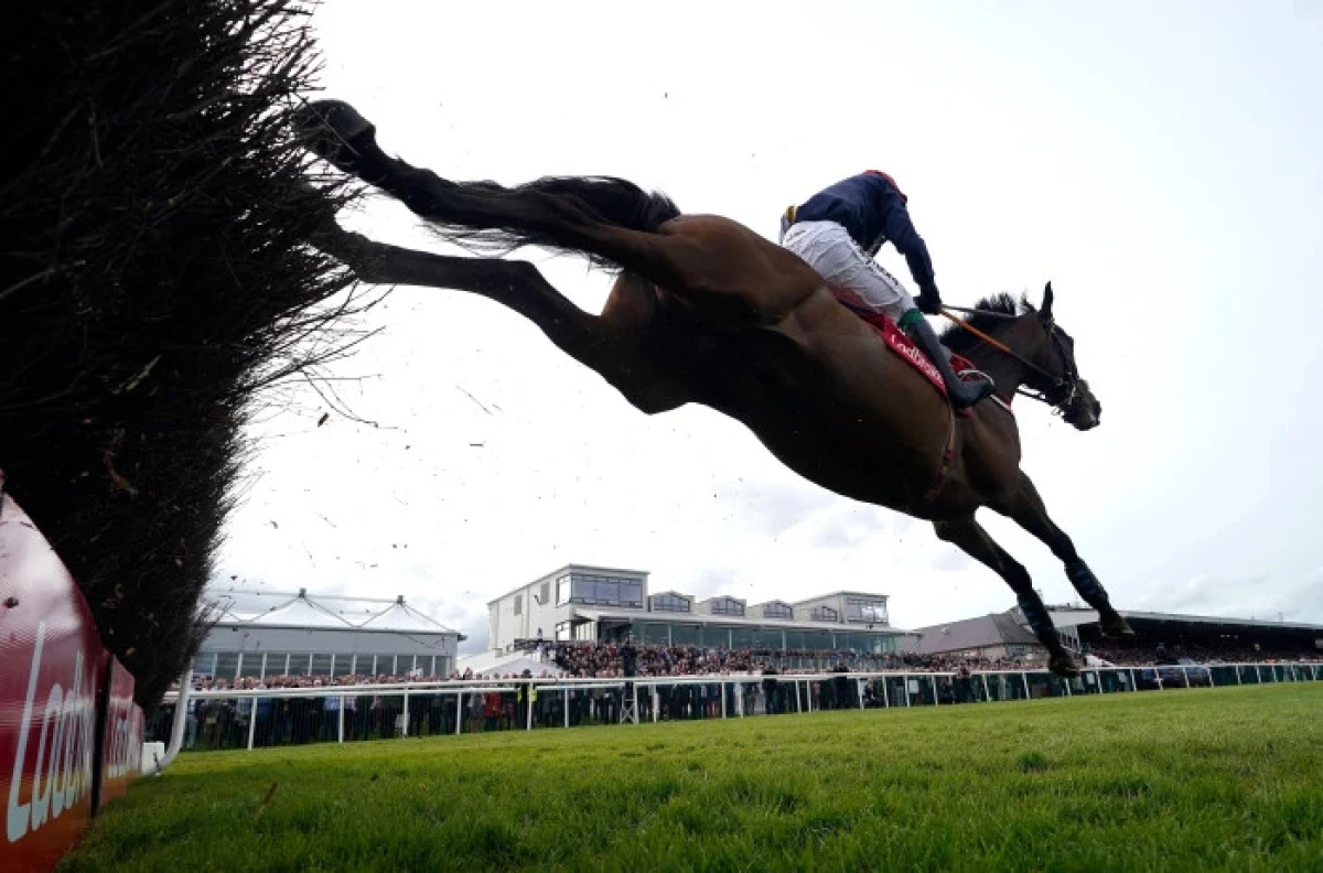Fastorslow ridden by JJ Slevin on their way to winning the Punchestown Gold Cup