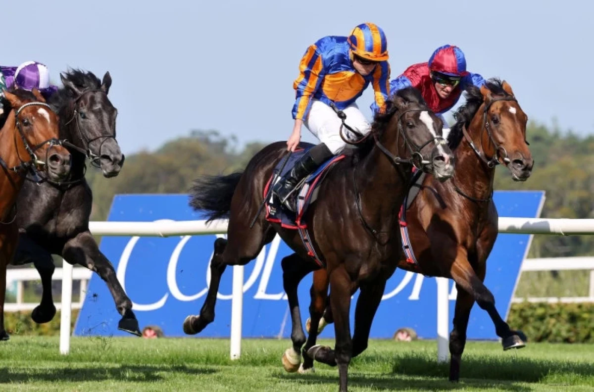 Auguste Rodin ridden by jockey Ryan Moore