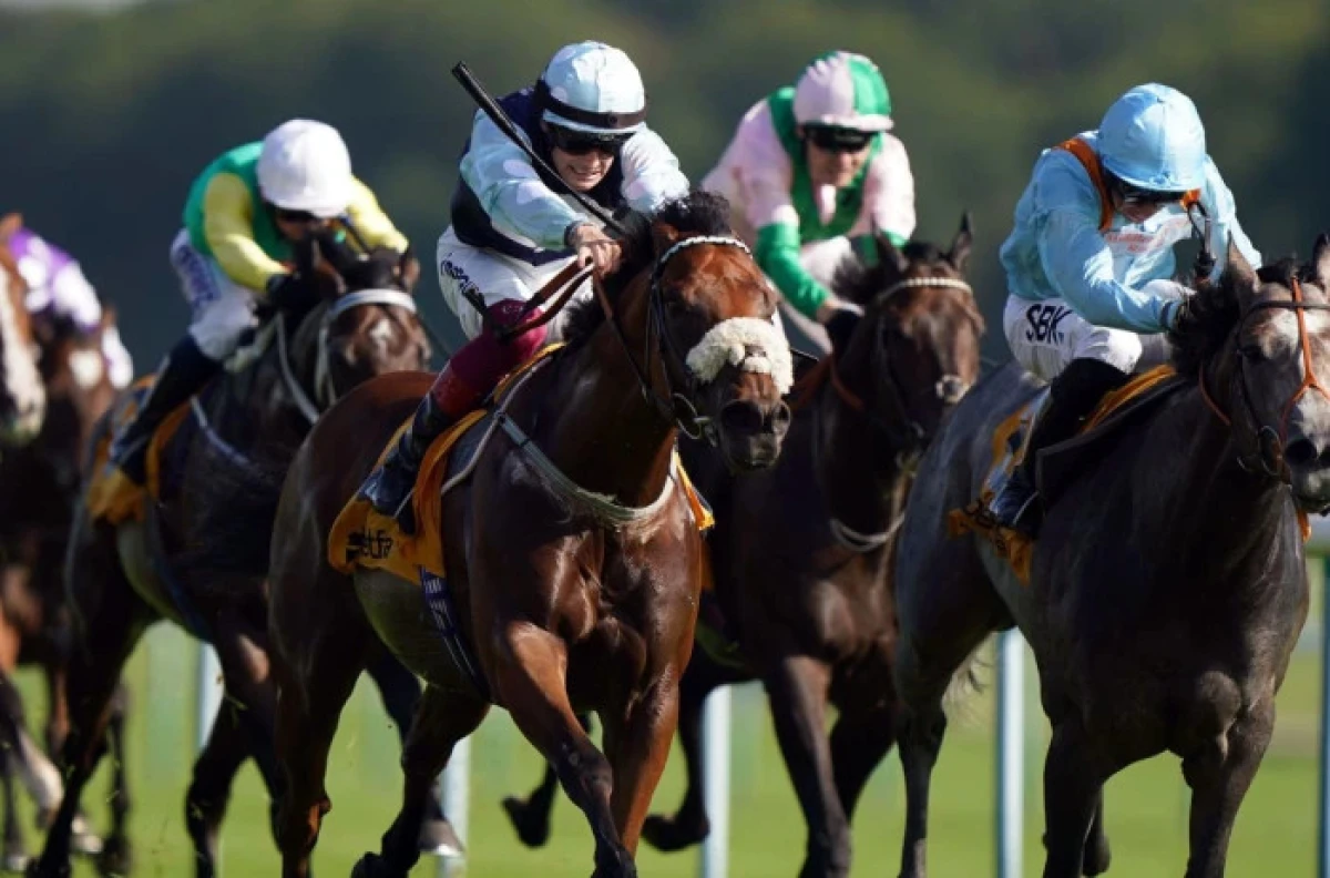 Regional ridden by Callum Rodriguez at Haydock
