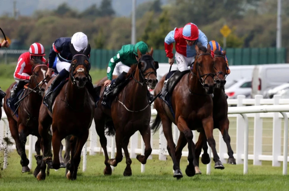 Moss Tucker ridden by W J Lee (second right) wins The Al Basti Equiworld - Sept 2023
